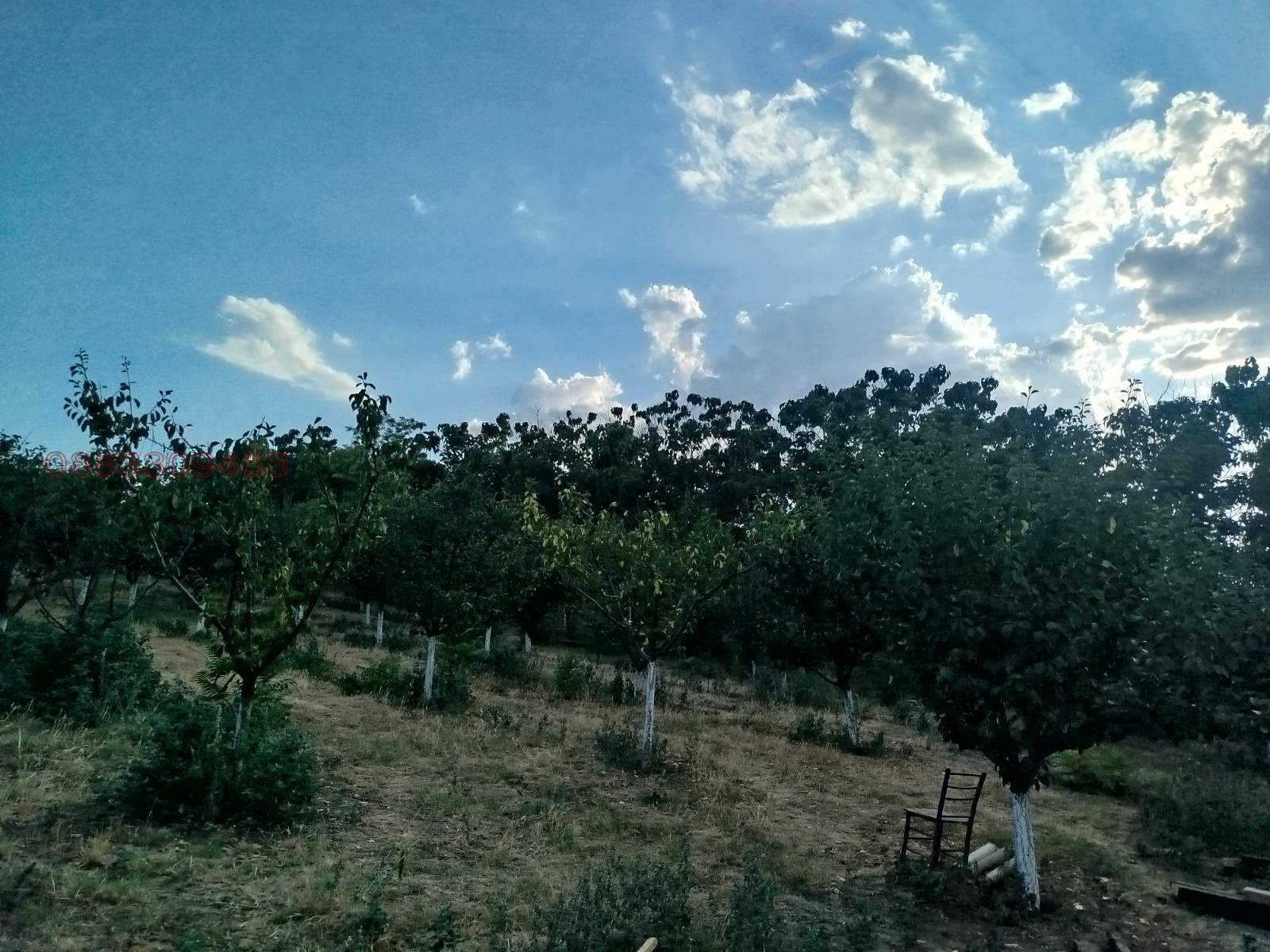 Продава КЪЩА, с. Горна Митрополия, област Плевен, снимка 4 - Къщи - 54875573