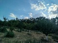 Продава КЪЩА, с. Горна Митрополия, област Плевен, снимка 4
