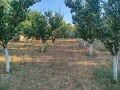 Продава КЪЩА, с. Горна Митрополия, област Плевен, снимка 5