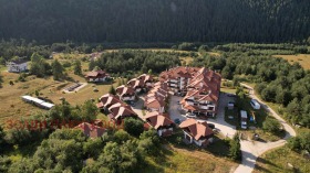 ����� ������� ����,�. ���� ������, ������ �����