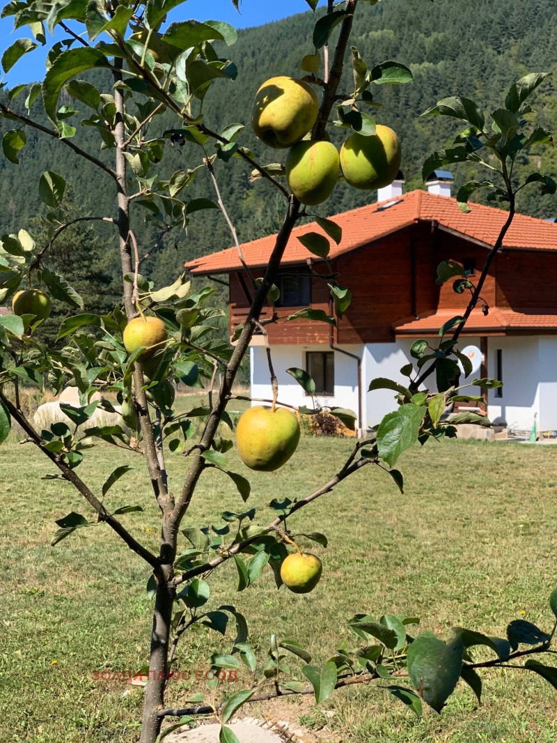 Продава КЪЩА, с. Мала църква, област София област, снимка 11 - Къщи - 53016429