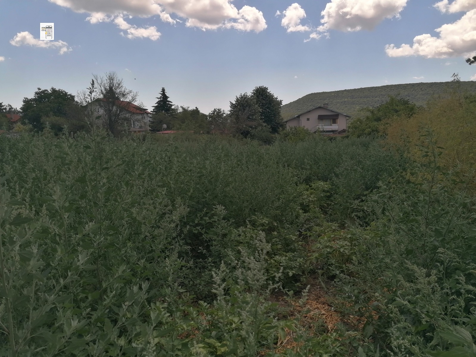 Продава ПАРЦЕЛ, с. Църква, област Добрич, снимка 2 - Парцели - 55233432
