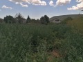 Продава ПАРЦЕЛ, с. Църква, област Добрич, снимка 2