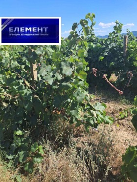 ������� ������ | Imot.bg � ����� ������ 3