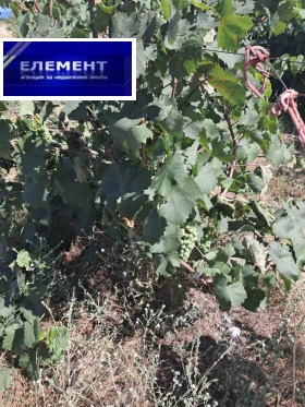 ������� ������ | Imot.bg � ����� ������ 2