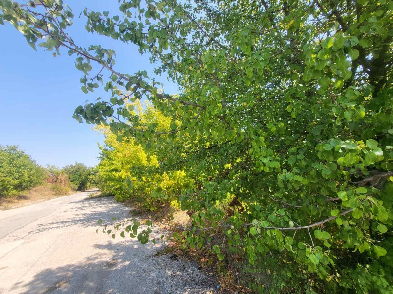 Till salu  Komplott Pleven , Drujba 3 , 3600 kvm | 48612783 - bild [10]