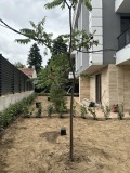 Продава 3-СТАЕН, град София, Горна баня • 235000 € • 59109130 — Holmes.bg
