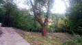 Продава КЪЩА, град София, с. Владая • 260000 € • 46808044 — Holmes.bg