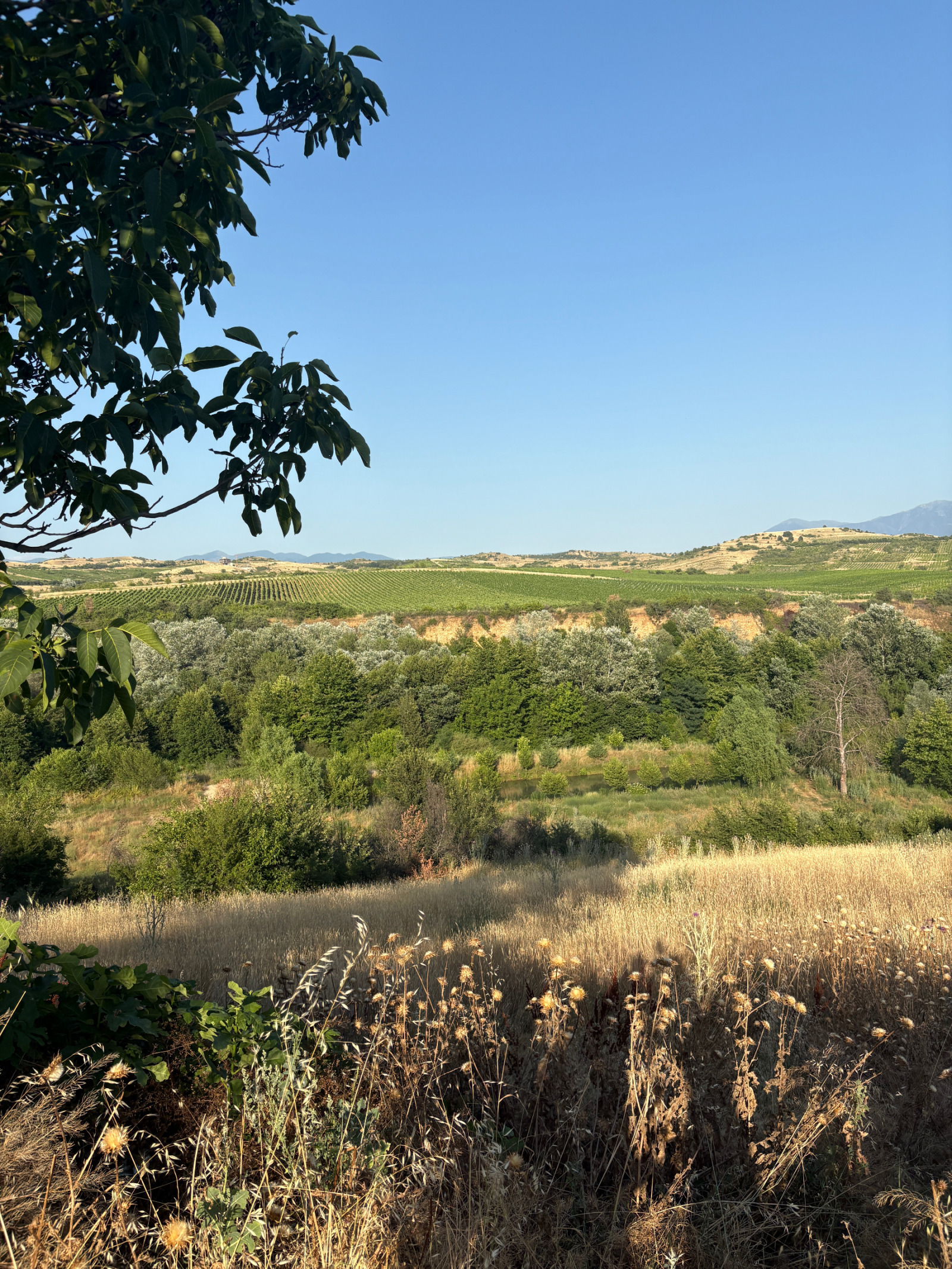 ������� ������ | Imot.bg � ����������� 3