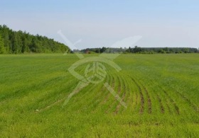 ПАРЦЕЛ, 40 000 m2