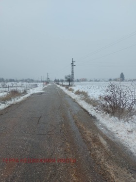 ������ ������� ������