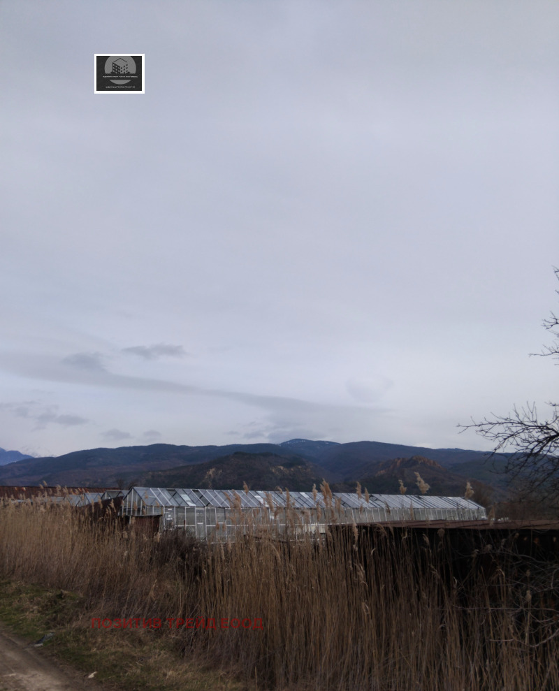 Продава ПАРЦЕЛ, с. Стоб, област Кюстендил, снимка 3 - Парцели - 53598074