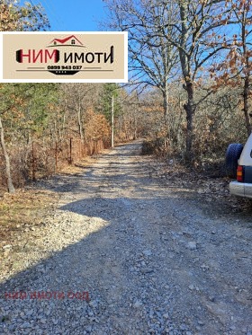 ����� ������� ����,�. ������, ������ �����>