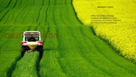 ������� ���������� ���� | Imot.bg � ����� ������ 2