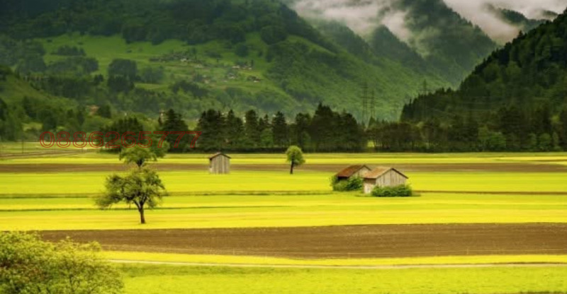 Till salu  Landa region Dobrich , Lozenec , 16 dka | 75358916