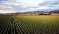 Продава ЗЕМЕДЕЛСКА ЗЕМЯ, с. Дълбок извор, област Пловдив, снимка 1