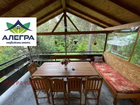 ����� ������� ����,�-� ����� ����, ������ ���������