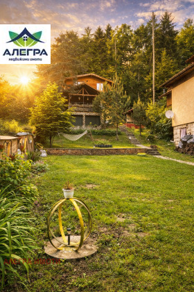 ����� ������� ����,�-� ����� ����, ������ ���������