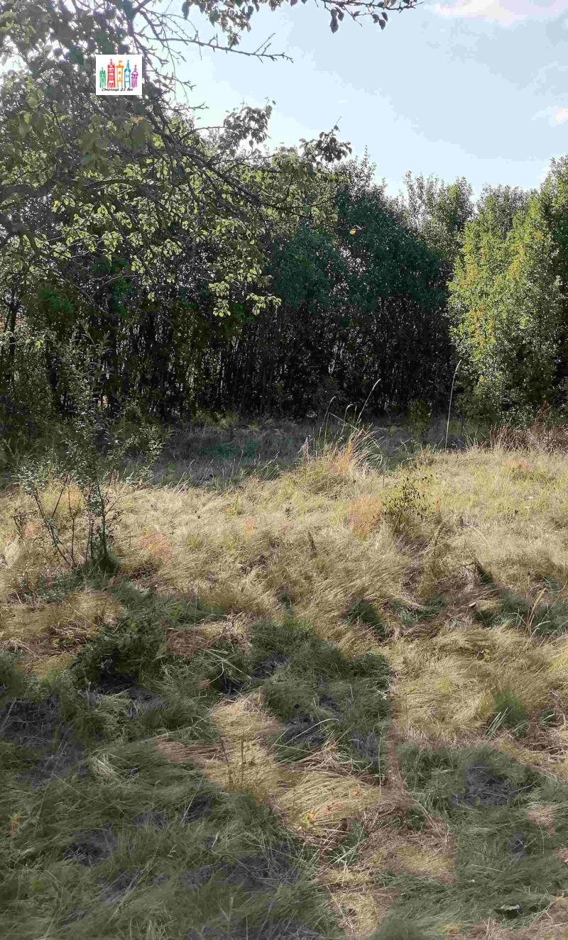 À venda  Trama Região Pernik , Tcherna gora , 1600 m² | 34915740 - imagem [7]