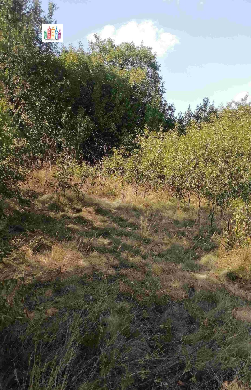 À venda  Trama Região Pernik , Tcherna gora , 1600 m² | 34915740 - imagem [4]
