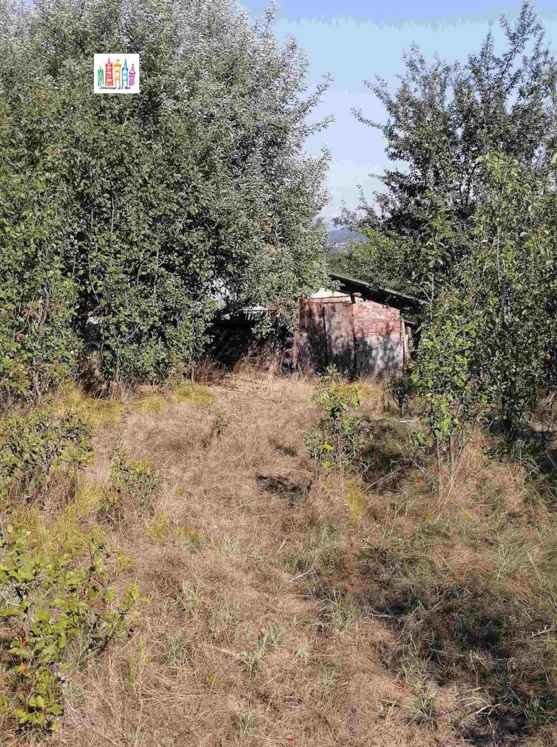 À venda  Trama Região Pernik , Tcherna gora , 1600 m² | 34915740 - imagem [12]