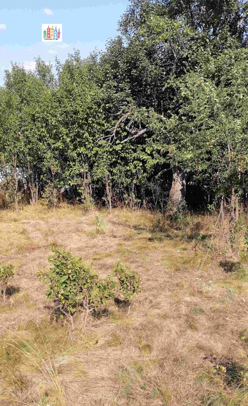 À venda  Trama Região Pernik , Tcherna gora , 1600 m² | 34915740 - imagem [11]