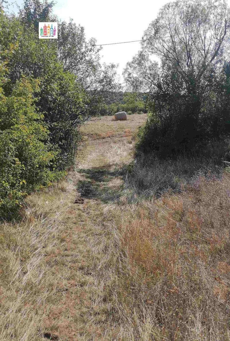 À venda  Trama Região Pernik , Tcherna gora , 1600 m² | 34915740 - imagem [14]