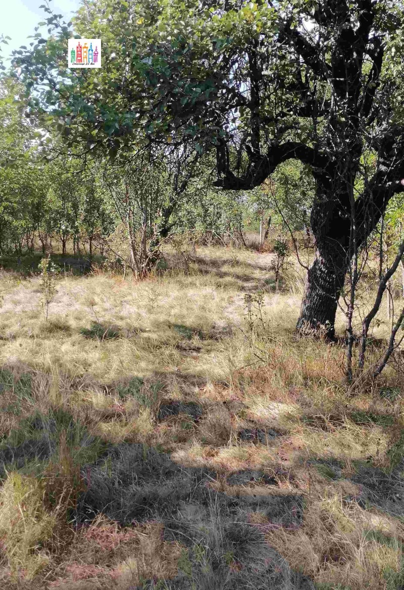 À venda  Trama Região Pernik , Tcherna gora , 1600 m² | 34915740 - imagem [6]