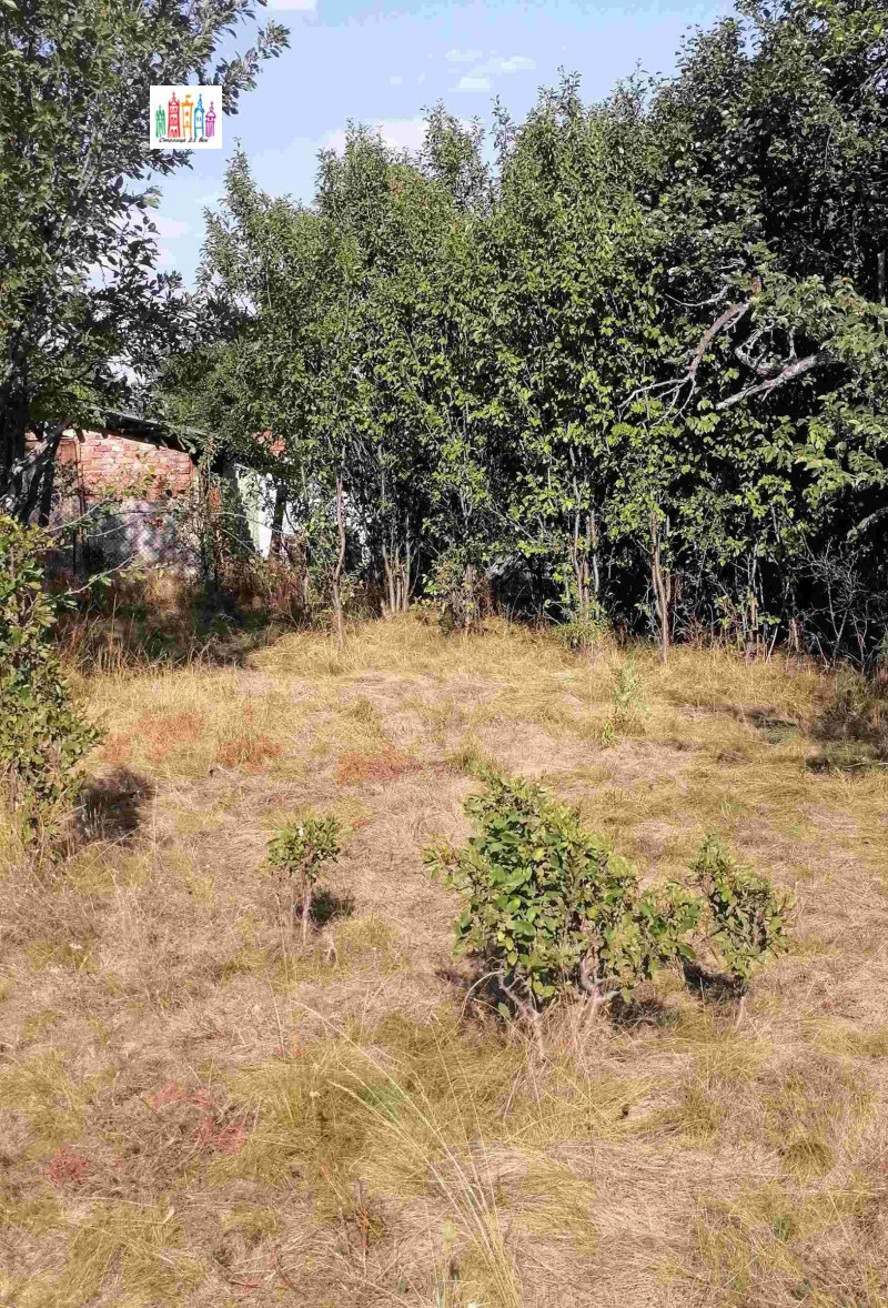 À venda  Trama Região Pernik , Tcherna gora , 1600 m² | 34915740 - imagem [8]
