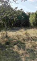 Продава ПАРЦЕЛ, област Перник, с. Черна гора • 44990 € • 60614692 — Holmes.bg
