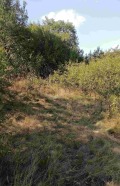 Продава ПАРЦЕЛ, област Перник, с. Черна гора • 44990 € • 60614692 — Holmes.bg