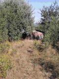 Продава ПАРЦЕЛ, област Перник, с. Черна гора • 44990 € • 60614692 — Holmes.bg