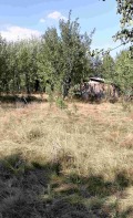 Продава ПАРЦЕЛ, област Перник, с. Черна гора • 44990 € • 60614692 — Holmes.bg