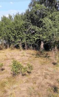 Продава ПАРЦЕЛ, област Перник, с. Черна гора • 44990 € • 60614692 — Holmes.bg