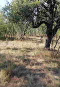 Продава ПАРЦЕЛ, област Перник, с. Черна гора • 44990 € • 60614692 — Holmes.bg