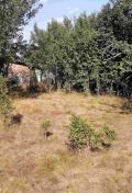 Продава ПАРЦЕЛ, област Перник, с. Черна гора • 44990 € • 60614692 — Holmes.bg