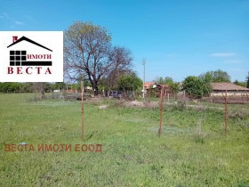 Продажба на имоти в с. Полковник Свещарово, област Добрич - изображение 8 