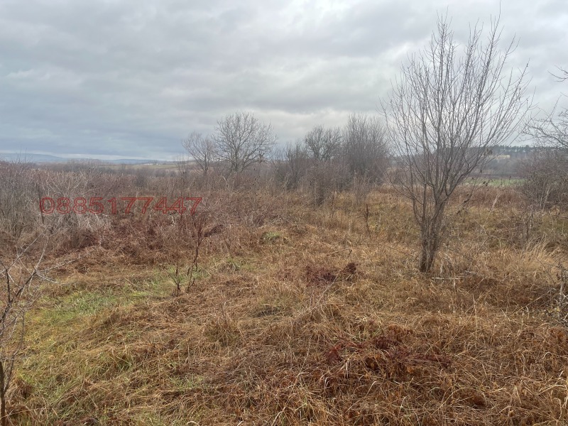 Продава ПАРЦЕЛ, гр. Костинброд, област София област, снимка 4 - Парцели - 53037304