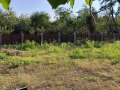 Продава КЪЩА, област Плевен, с. Згалево • 68000 € • 52675134 — Holmes.bg