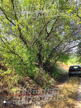 ������� ������ | Imot.bg � ����� ������ 5