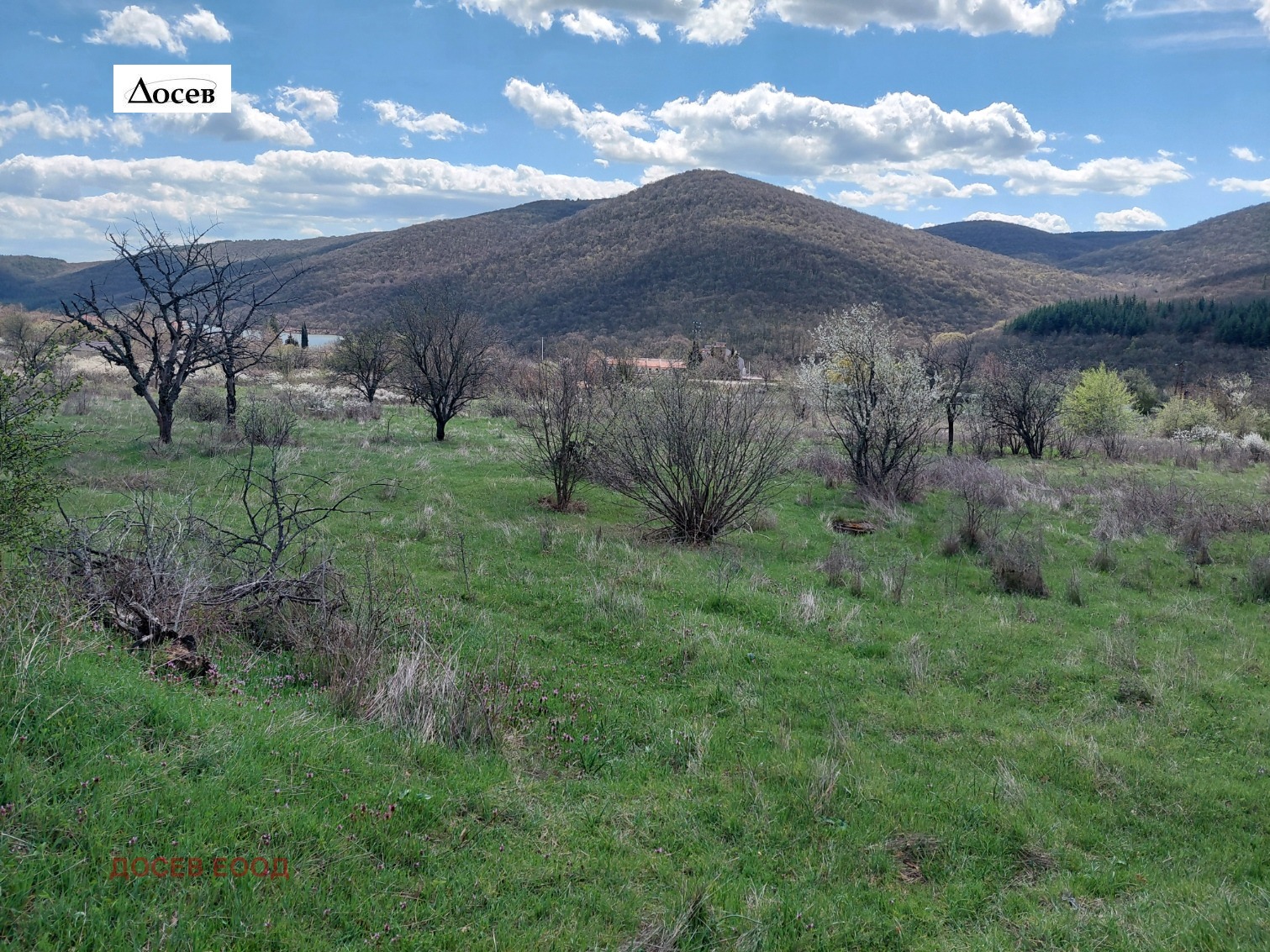 Продава ПАРЦЕЛ, с. Колена, област Стара Загора, снимка 6 - Парцели - 54216269