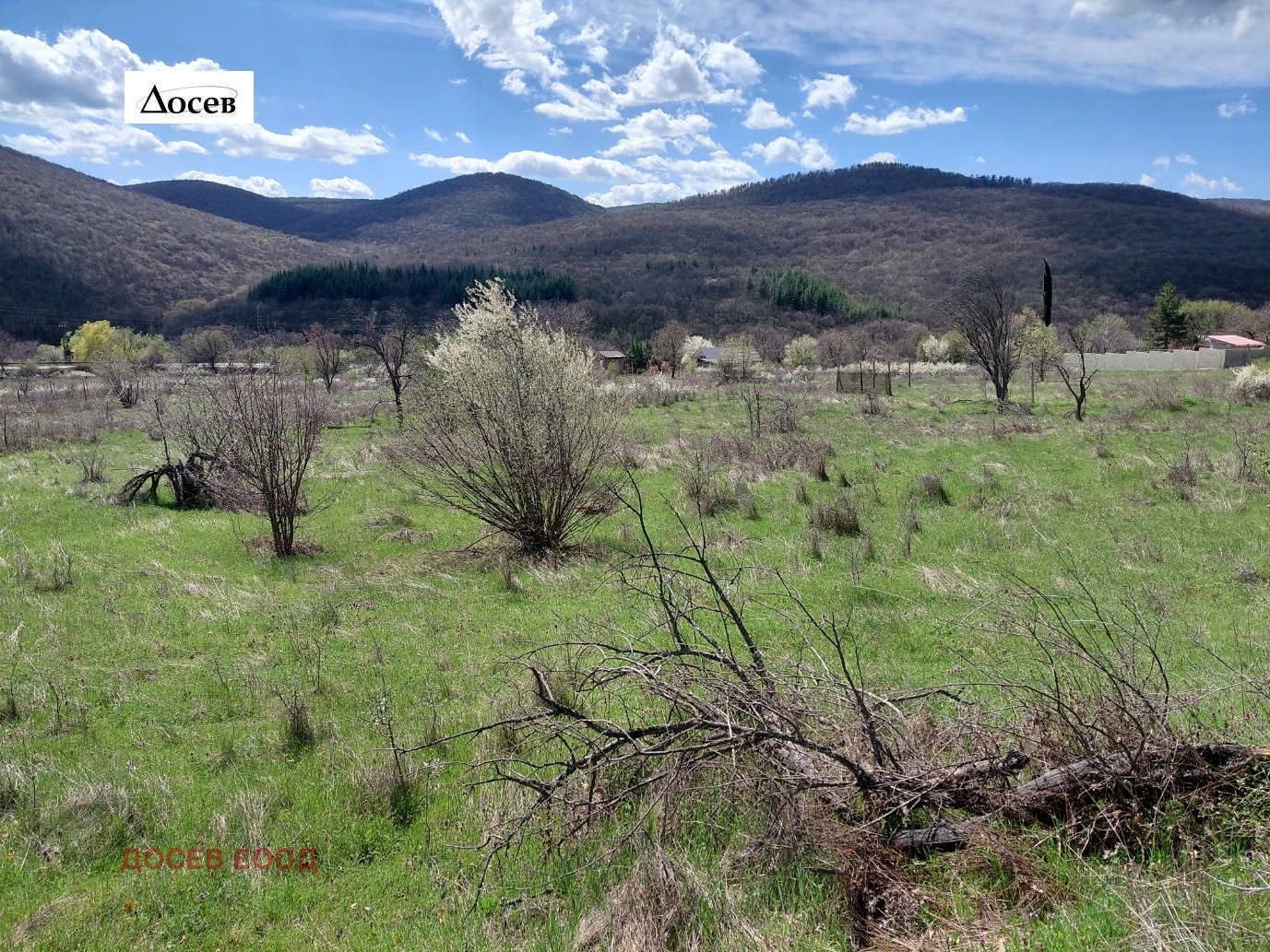 Продава ПАРЦЕЛ, с. Колена, област Стара Загора, снимка 5 - Парцели - 54216269