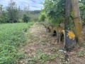 Продава КЪЩА, гр. Белослав, област Варна, снимка 14