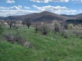 Продава ПАРЦЕЛ, с. Колена, област Стара Загора, снимка 6