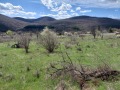 Продава ПАРЦЕЛ, област Стара Загора, с. Колена • 140670 € / 275126.61 лв. • 52518443 6