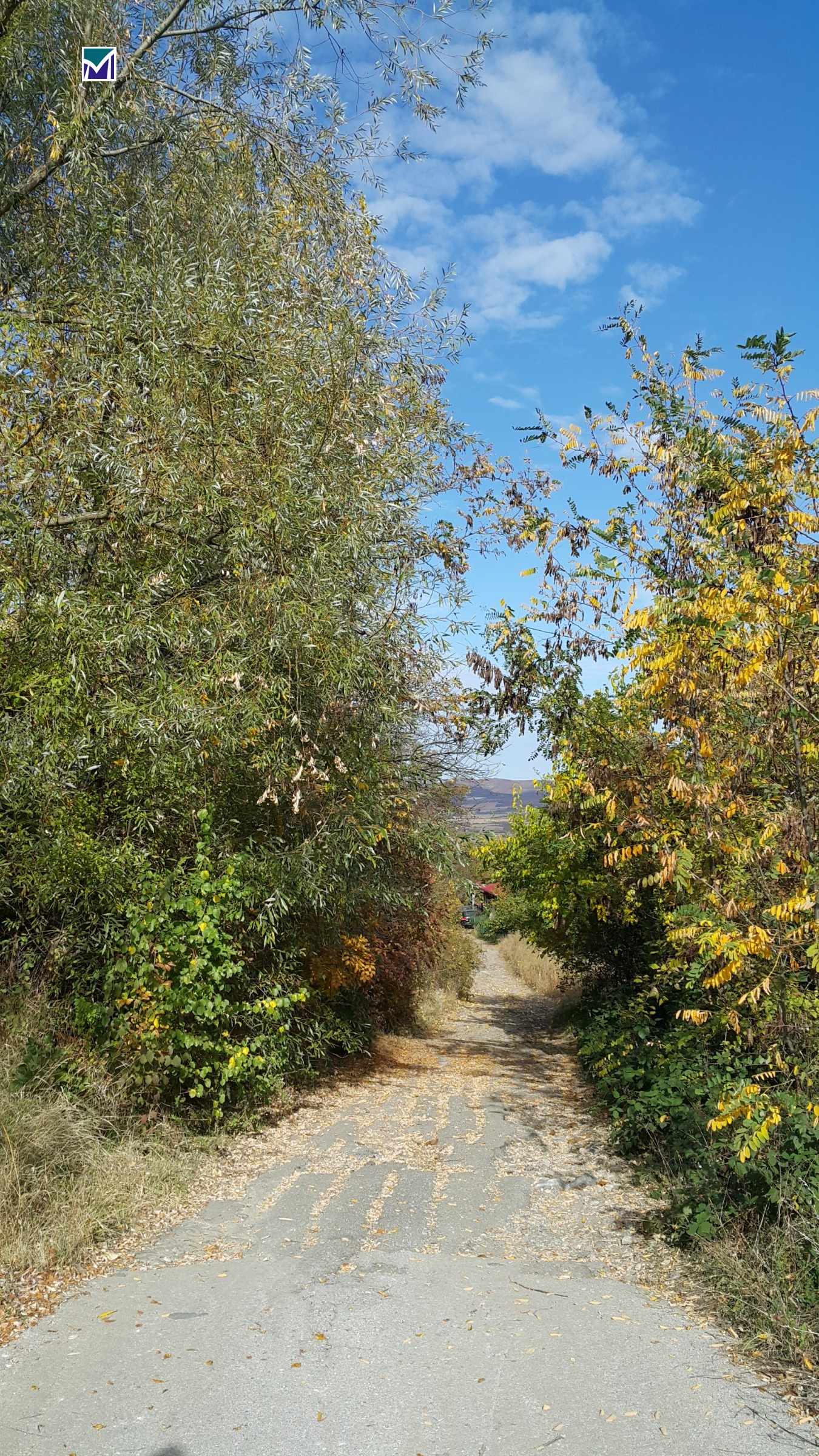 ������� ������ | Imot.bg � ����������� 1