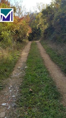 ������� ������ | Imot.bg � ����� ������ 5