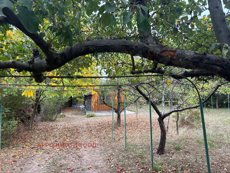Satılık  Komplo Sofia , Bistrica , 829 metrekare | 55666789