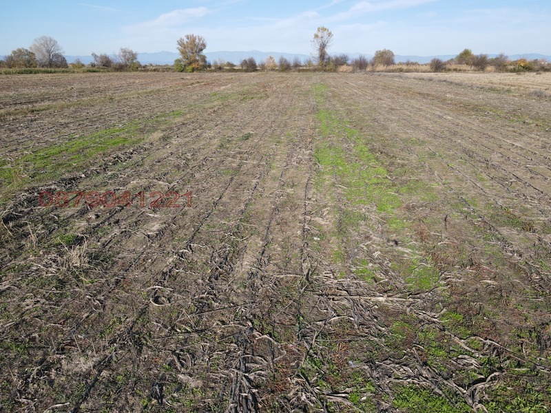 Продава ЗЕМЕДЕЛСКА ЗЕМЯ, с. Крислово, област Пловдив, снимка 10 - Земеделска земя - 53557156