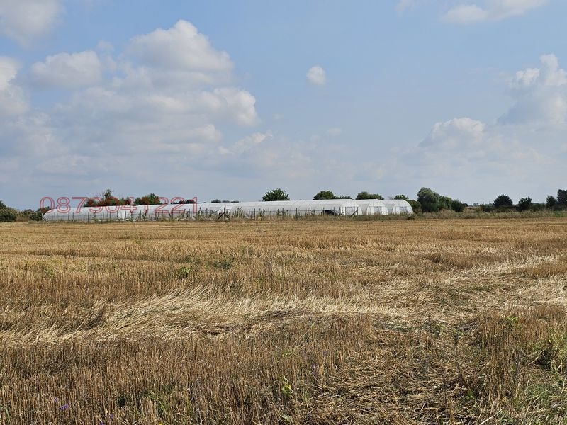 Продава ЗЕМЕДЕЛСКА ЗЕМЯ, с. Крислово, област Пловдив, снимка 7 - Земеделска земя - 53557156